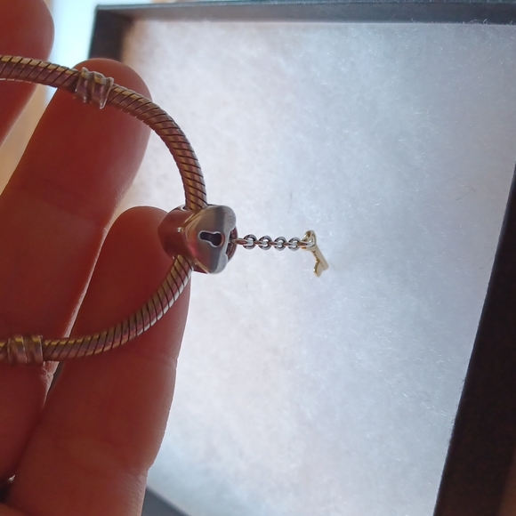 Pandora retired charm - Picture 4 of 4